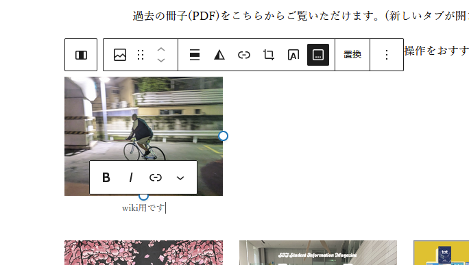 WordPress編集画面