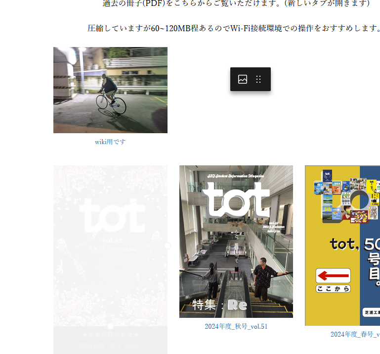 WordPress編集画面